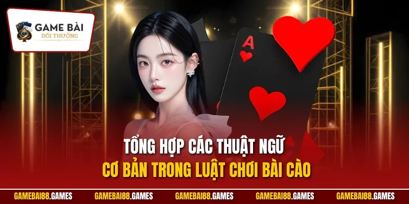 Tổng hợp các thuật ngữ cơ bản trong luật chơi bài cào